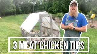 3 Meat Chicken Tips and Tricks