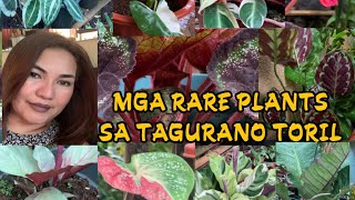 MGA RARE PLANTS SA TAGURANO TORIL DAVAO CITY