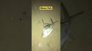 Moon fish #reels #shimano  #littma #fishing 😱