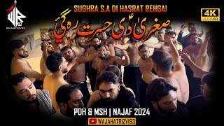 Sughra S.A Di Hasrat Rehgai | PDH & MSH | Najaf 2024