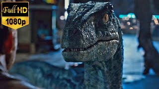 Jurassic world (2015) - Blue betrayed indominus rex scene [HD 1080p]