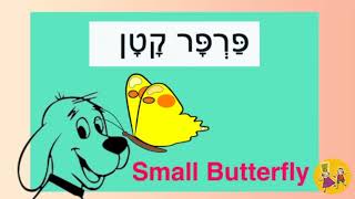 פרפר קטן - Small Butterfly - Short Story in Hebrew for Beginners