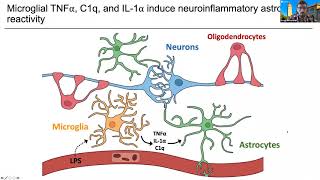 [Kevin Guttenplan] Neurotoxic Reactive Astrocytes in  mouse models of Retinal Injury and ALS