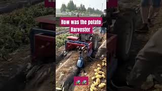 Potato Harvester #machine #tractor #sheti #technology #agriculture #potato #reels #india #instagood