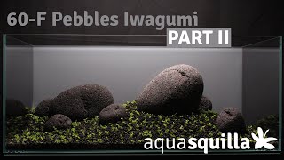 60-F Pebbles Iwagumi (Part II): Ende des Drystarts