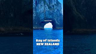 The Iconic “Hole in the Rock” in the Bay of Islands NEW ZEALAND #shorts #cruiseadventure #nature