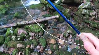 Fly Fishing PA class A native brook trout stream