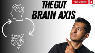 The surprising link between your gut and brain !