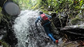 Del Bosque Nuboso de Palo Verde hacia La Luchita por montaña y regreso por la Cuesta de Enero