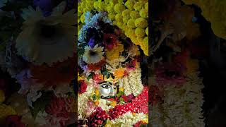 Kapaleshwar Mahadev Palkhi 12-02-2024