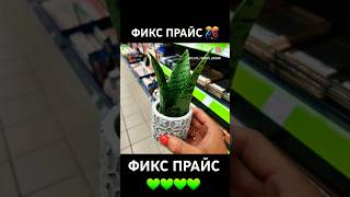 ФИКС ПРАЙС ЧТО-ТО НОВЕНЬКОЕ??? #обзор #скидки #распродажа #новинки