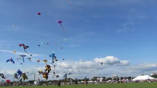 Portsmouth Kite Festival 130817 Team Flame Two Tribes Kite Ballet (#S6773)