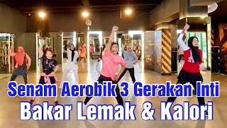 Senam AEROBIK 30 menit bakar lemak dan kalori