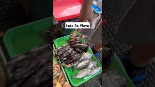 Isda Sa Plaza...