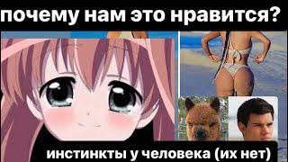 Ключевые стимулы// У человека есть инстинкты?// Когда рождается личность?//Феномен горький конфеты