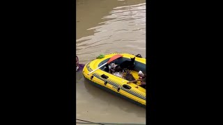 The man who rescued the cats in the flooded area in Malaysia #shorts