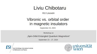 Liviu Chibotaru - Vibronic vs. orbital order in magnetic insulators