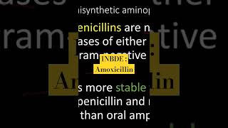 INBDE Amoxicillin Review