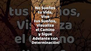 Eleva tu día: Visualizaciones positivas 🚀 | Día 149 #shorts  #visualizacion  #frases