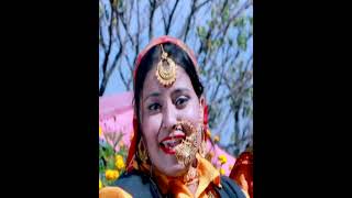 No Patya Ghaghri Sort Garhwali Sort Video Song  2024