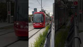 #parramattalightrail 2171 Departing Tramway Avenue #shorts