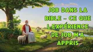 Job dans la Bible – Une expérience qui a transformé ma vie #labible #dieu #foi