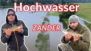 Taktik wechseln bringt jetzt Zander | Hochwasser an der Elbe