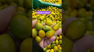 Fruit or vegateble? #trending #satisfying #asmr #viral #shortvideo #happy #winter