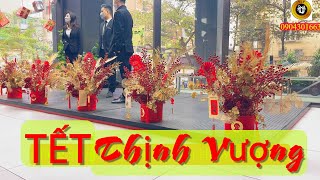 Decor Showroom Auto | Tet | YLY Gift and Decor | Decor | Nhà Đẹp