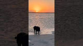 Sandbar Sunset in the Florida Keys | DestinatioNow #shorts