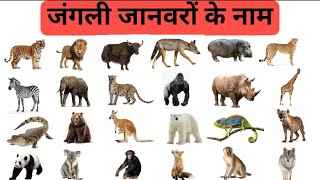 जंगली जानवरों के नाम हिंदी में I wild animals name in hindi with picture I #ytvideo #viral ##