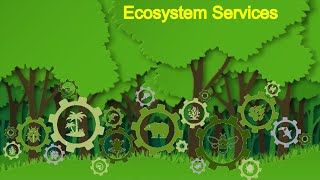 ECOSYSTEM SERVICES |  ecosystems examples |  types of ecosystem | biodiversity and Ecosystems