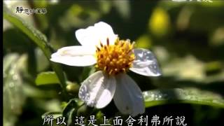 20140325《靜思妙蓮華》無上兩足尊