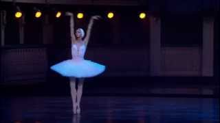 The Dying Swan - Mariinsky II Gala