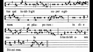 Ego dixi (7th Sunday in Ordinary Time, Gradual)