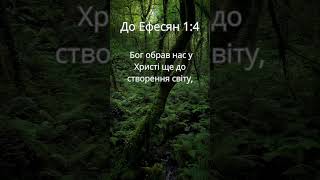 До Ефесян 1:4 #shorts #bible #christian