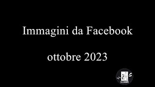 IMMAGINI di CANI da SOCIAL - Sei zampe - ottobre 2023