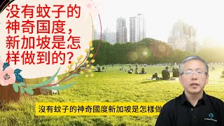 没有蚊子的神奇国度，新加坡是怎样做到的？家里马桶生蚊子，她被罚款1400新！