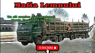 Mafia Lemnului! | Actiune Desfasurata In Zarnesti, Brasov! | Video 79