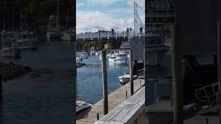 Perkins Cove Ogunquit Maine #shortsfeed #travel #footbridge