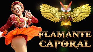 FLAMANTE CAPORAL / GRAN FINAL TUNDIQUE DE ORO 2023