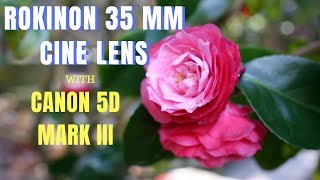 Rokinon 35 mm Cine Lens with Canon 5D Mark III Video Test