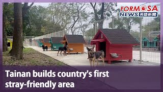 Tainan builds country’s first stray-friendly area｜Taiwan News