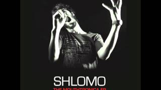 Shlomo - Hold That Thought