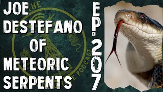 Joe DeStefano of Meteoric Serpents | THP - #207