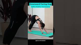 Downward Facing Dog | YogiFi