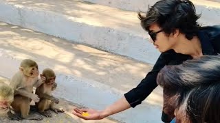 Bizarre Moments of Monkeys Eating Everything (Pawai Kalehan)😱😱😱