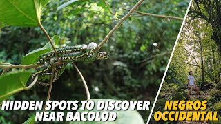 NEGROS OCCIDENTAL: HIDDEN SPOTS TO DISCOVER | Lost Juan