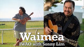 [BGM] Waimea / IWAO with Sonny Lim