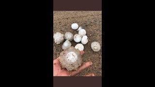 ice cube fall in airport